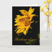 Zonnebloem en betekenis kaart (Gele Bloem)