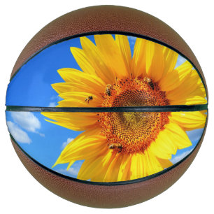 Zonnebloem en bijen basketbal