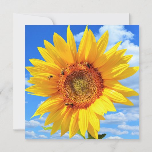 Zonnebloem en bijen Kaart (Achterkant)