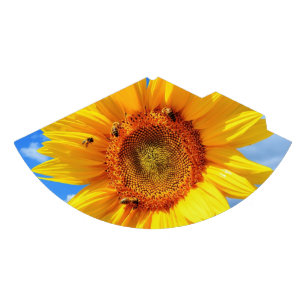 Zonnebloem en bijen partij Pet Feesthoedjes
