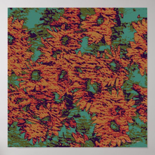 Zonnebloem en bladkamouflage op poster (Voorkant)