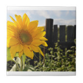 Zonnebloem en hek tegeltje (Voorkant)