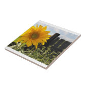 Zonnebloem en hek tegeltje (Zijkant)