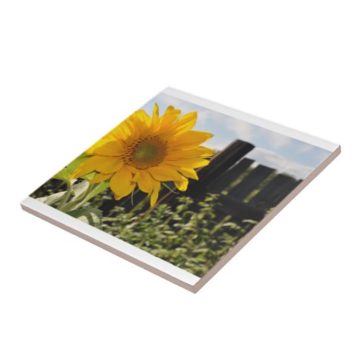 Zonnebloem en hek tegeltje (Zijkant)