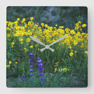 Zonnebloem en lavender vierkante klok
