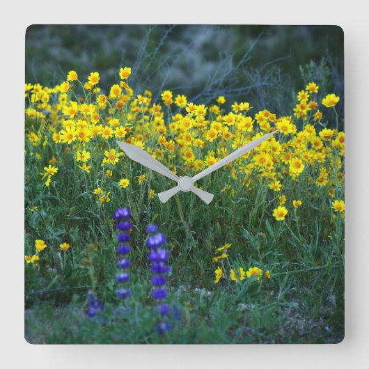 Zonnebloem en lavender vierkante klok (Voorkant)