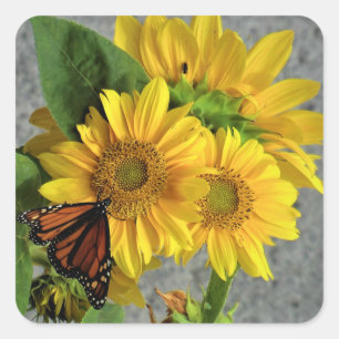 Zonnebloem en Monarch Vlinder Stickers
