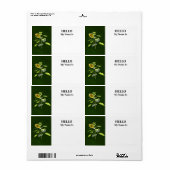 Zonnebloem en Mus Etiket (Full Sheet)