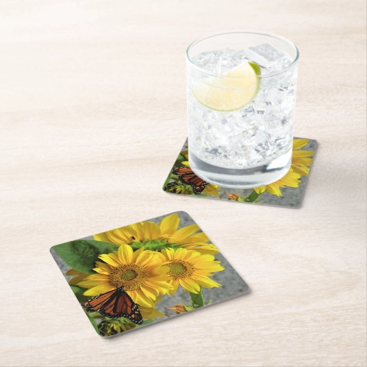 Zonnebloem en Onderzetter van gewone en zwarte vli (Insitu)