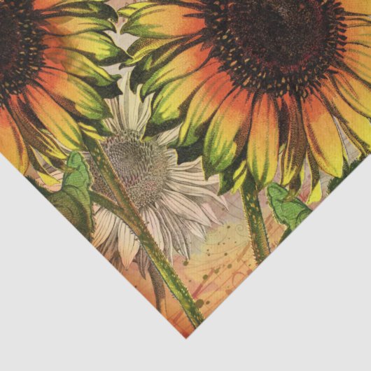  zonnebloem en ontkoppeling van de rij tissuepapier (Detail)