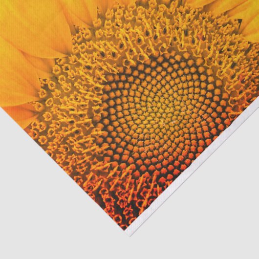 Zonnebloem- en pookadots Gift Weefpapier Tissuepapier (Detail)