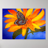 Zonnebloem en Poster van vlinder (Voorkant)
