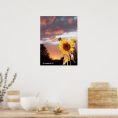 ZONNEBLOEM EN ROZE ZOMERZONSONDERGANG POSTER (Keuken)