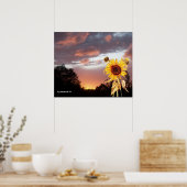 ZONNEBLOEM EN ROZE ZOMERZONSONDERGANG POSTER (Keuken)