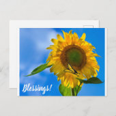 Zonnebloem en vlinder briefkaart (Voorkant / Achterkant)