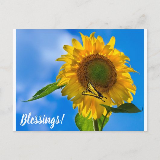 Zonnebloem en vlinder briefkaart (Voorkant)