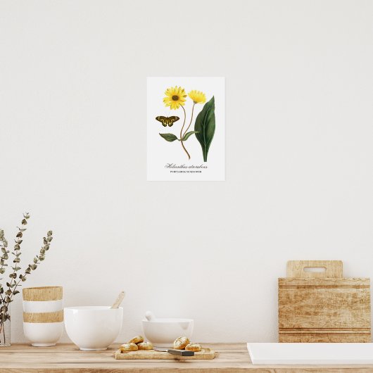 zonnebloem en vlinder poster (Keuken)
