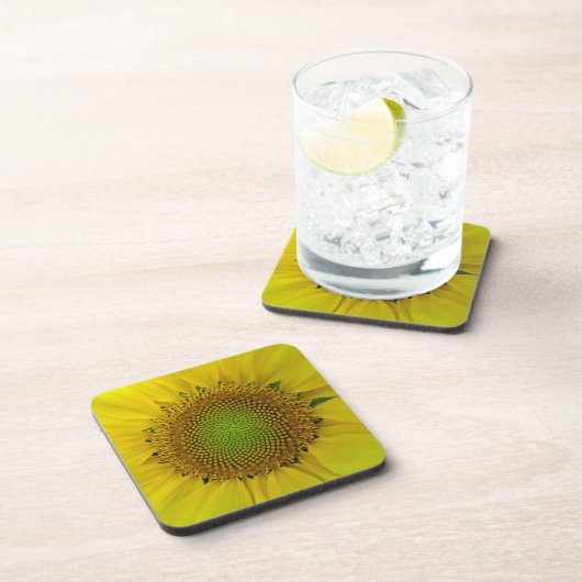 Zonnebloem en zaaigoed, spiraal, goudverhouding bier onderzetter (Rechterzijde)