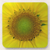 Zonnebloem en zaaigoed, spiraal, goudverhouding bier onderzetter (Voorkant)