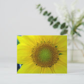 Zonnebloem en zaaigoed, spiraal, goudverhouding briefkaart (Staand voorkant)