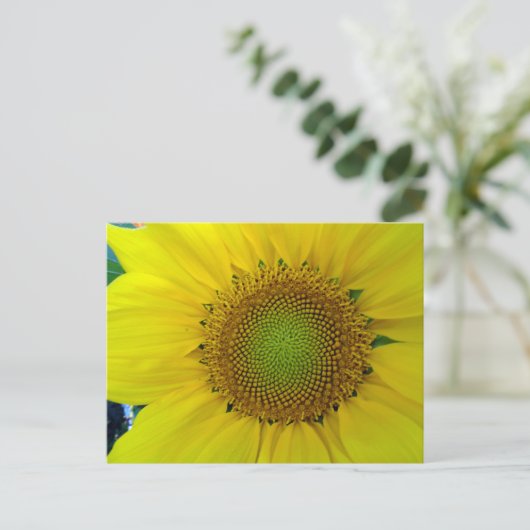 Zonnebloem en zaaigoed, spiraal, goudverhouding briefkaart (Staand voorkant)