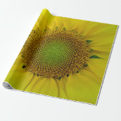 Zonnebloem en zaaigoed, spiraal, goudverhouding cadeaupapier (Uitgerold)