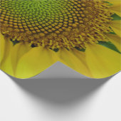 Zonnebloem en zaaigoed, spiraal, goudverhouding cadeaupapier (Hoek)