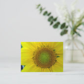 Zonnebloem en zaaigoed, spiraal, goudverhouding informatiekaartje (Staand voorkant)