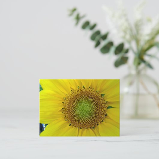 Zonnebloem en zaaigoed, spiraal, goudverhouding informatiekaartje (Staand voorkant)