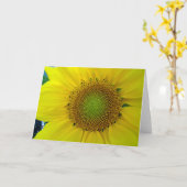 Zonnebloem en zaaigoed, spiraal, goudverhouding kaart (Gele Bloem)