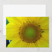 Zonnebloem en zaaigoed, spiraal, goudverhouding kaart (Voorkant / Achterkant)