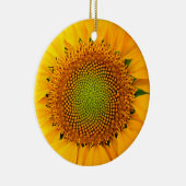 Zonnebloem en zaaigoed, spiraal, goudverhouding keramisch ornament (Rechts)