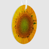 Zonnebloem en zaaigoed, spiraal, goudverhouding ornament (voorkant)