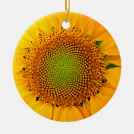 Zonnebloem en Zaden, Spiraal, Gulden Snede Keramisch Ornament
