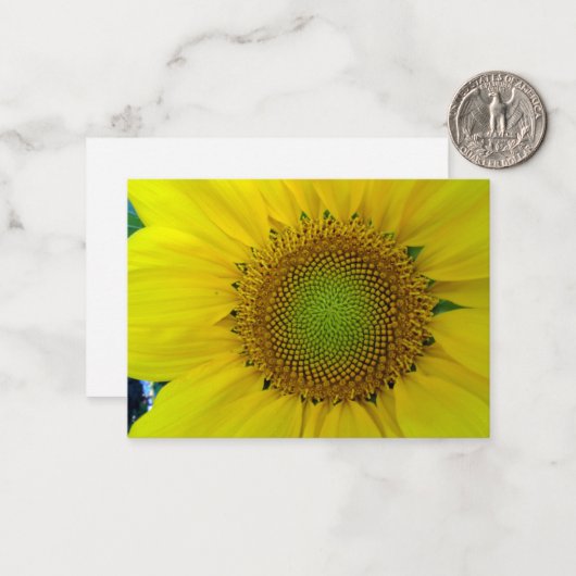 Zonnebloem en zaden, spiraal, gulden snede notitiekaartje (Voorkant / Achterkant in situ)