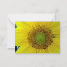 Zonnebloem en zaden, spiraal, gulden snede