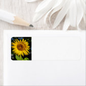 Zonnebloem Etiket (Insitu)