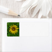 Zonnebloem Etiket (Insitu)