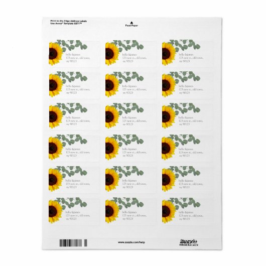 Zonnebloem Eucalyptus blad retour adres labels (Full Sheet)
