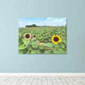 Zonnebloem Field Natuur Foto Canvas Afdruk (Insitu (Houten vloer))