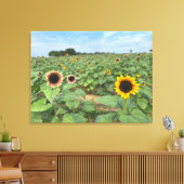 Zonnebloem Field Natuur Foto Canvas Afdruk (Insitu (Woonkamer))