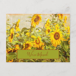Zonnebloem Field We hebben geel verhuisd Briefkaart