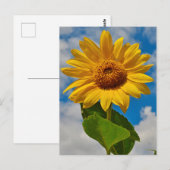 Zonnebloem Floral Botanische Elegant Bright Summer Briefkaart (Voorkant / Achterkant)