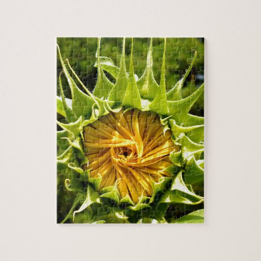 Zonnebloem foto legpuzzel (Verticaal)
