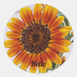 Zonnebloem Foto met Gele Oranje Verloopkleur Ronde Sticker