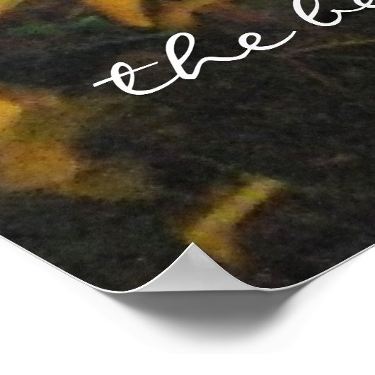 Zonnebloem Foto Poster (Hoek)