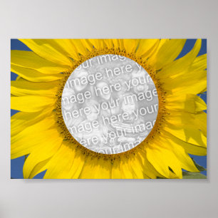 Zonnebloem Foto Poster