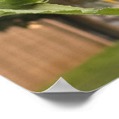 Zonnebloem Foto-Poster Poster (Hoek)