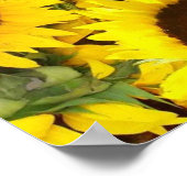 Zonnebloem Foto-Poster Poster (Hoek)