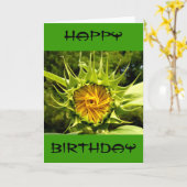 Zonnebloem foto Verjaardag Kaart (Gele Bloem)